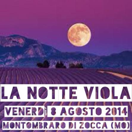 La Notte Viola 2014