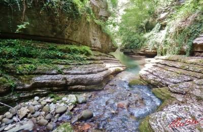 Il Ponticello - Foreste Casentinesi: trekking tra torrenti, mulini e piscine naturali!