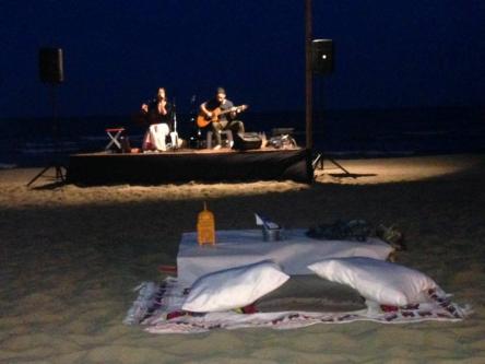 Pic nic in spiaggia: Fiume  Musica a Cremona