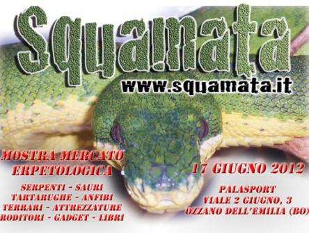 SQUAMATA
