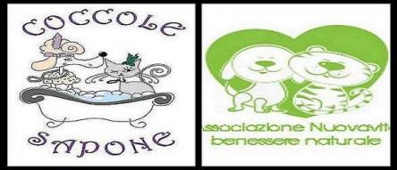 Coccole a QuattroZampe