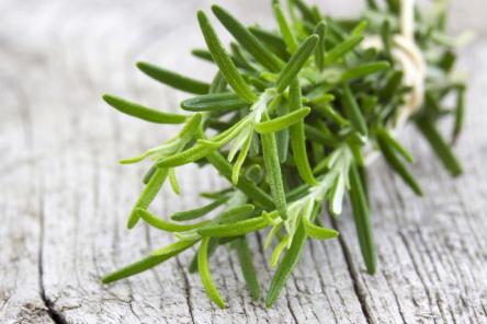 AROMI IN CUCINA