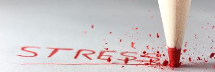 Imparare a Gestire lo Stress: Strategie per Vivere Meglio