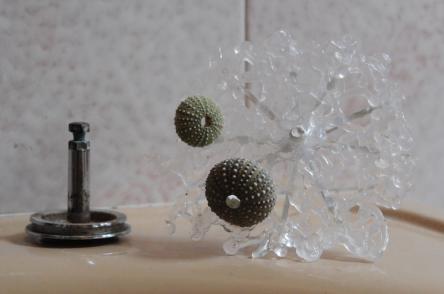 | EQUILIBRI_installazione diffusa di GIORGIA VALMORRI con MAISON VENTIDUE | 24-31 maggio |