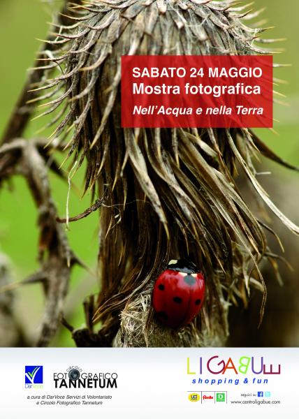 NELLA TERRA E NELL’ACQUA