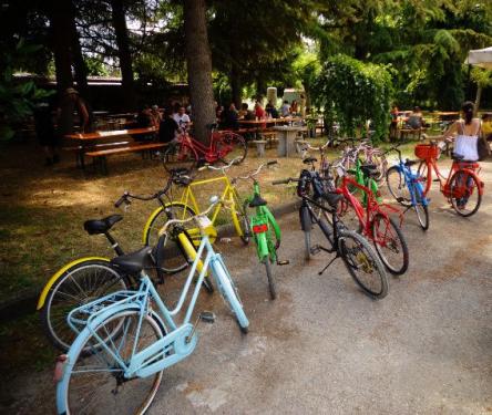 S • 14 chiamata pubblica: progetto raccolta biciclette_biciclo