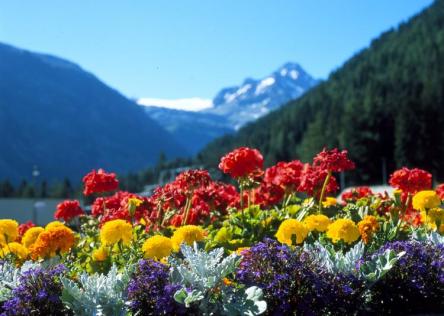 FESTA DI PRIMAVERA