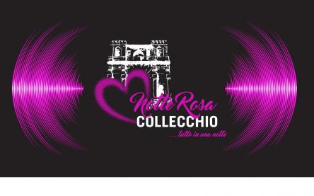 Notte Rosa a Collecchio - 27 Maggio 2017 con Max Testa