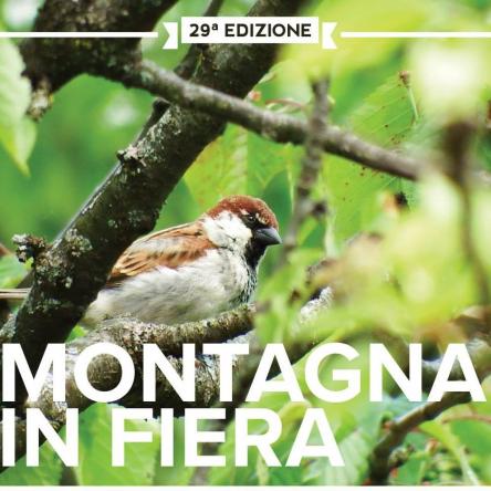 MONTAGNA IN FIERA