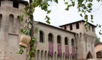 Festa dell'Uva