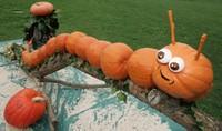 Fiera della Zucca