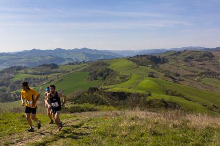 Gessi Wild Trail
