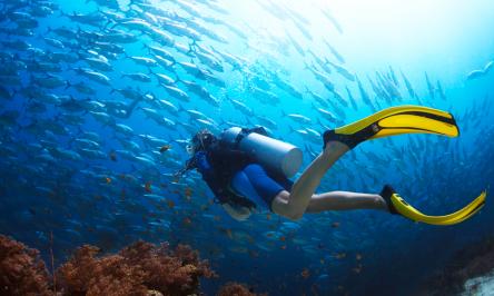 Corso Open Water Diver PADI
