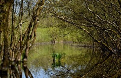 Il Ponticello - Fotografiamo il Delta: Valli di Comacchio e Fenicotteri!