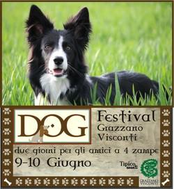 DOG FESTIVAL