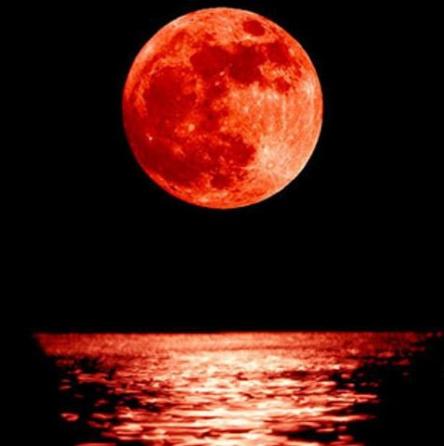L'ECLISSI DI LUNA ROSSA AMMIRATA DAL CENTRO DEL PO!