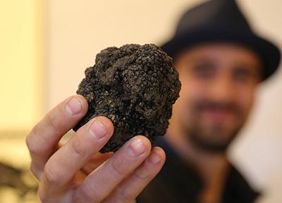 La Sagra del Tartufo Nero di Fragno a Calestano