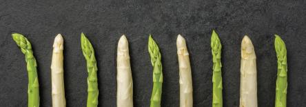 International Asparagus Days