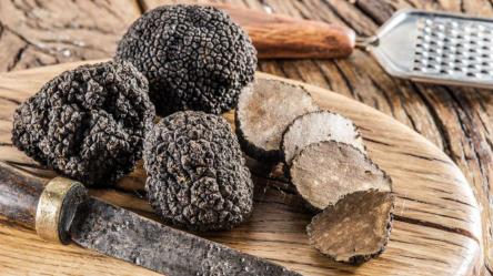 52^ Sagra del Tartufo