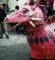 Carnevale del ghetto