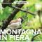 MONTAGNA IN FIERA