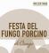Festa del Fungo Porcino