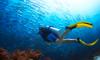 Corso Open Water Diver PADI