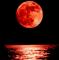 L'ECLISSI DI LUNA ROSSA AMMIRATA DAL CENTRO DEL PO!