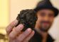La Sagra del Tartufo Nero di Fragno a Calestano