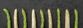 International Asparagus Days