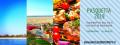 PASQUETTA 2019 - CREMONA / VIAGGETTO SUL PO E PIC NIC IN SPIAGGIA