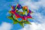 Artevento presenta il programma di One Sky One World 2025